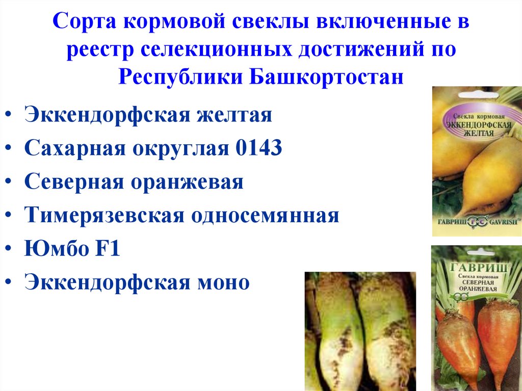 Сорта кормовой свеклы включенные в реестр селекционных достижений по Республики Башкортостан