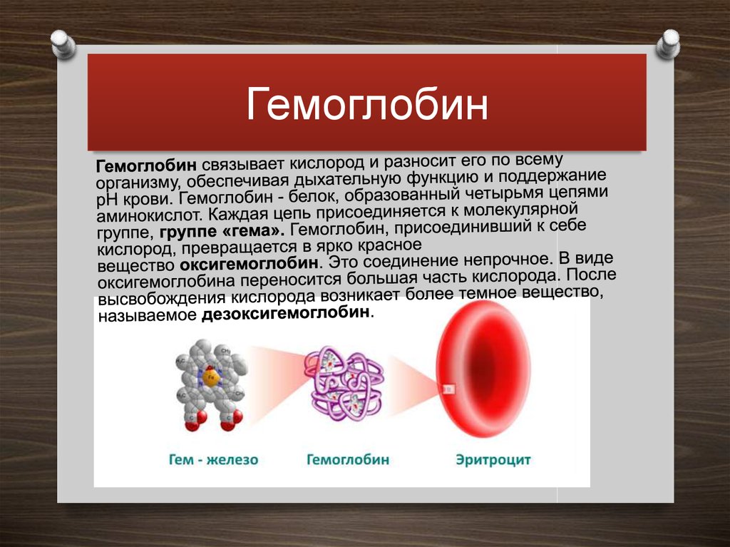 Много гемоглобина в крови. Гемоглобин. Гимо. Гемоглобин в крови. Строение эритроцита и гемоглобина.