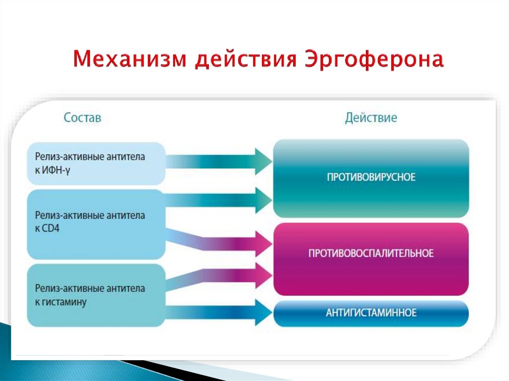 Эргоферон схема приема взрослым