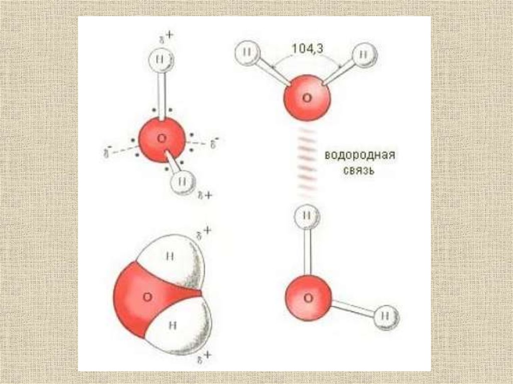 Молекула воды образована связью. Водородная связь в молекуле воды схема. Водородная связь между молекулами воды схема. Водородные связи в молекуле воды. Молекула воды.