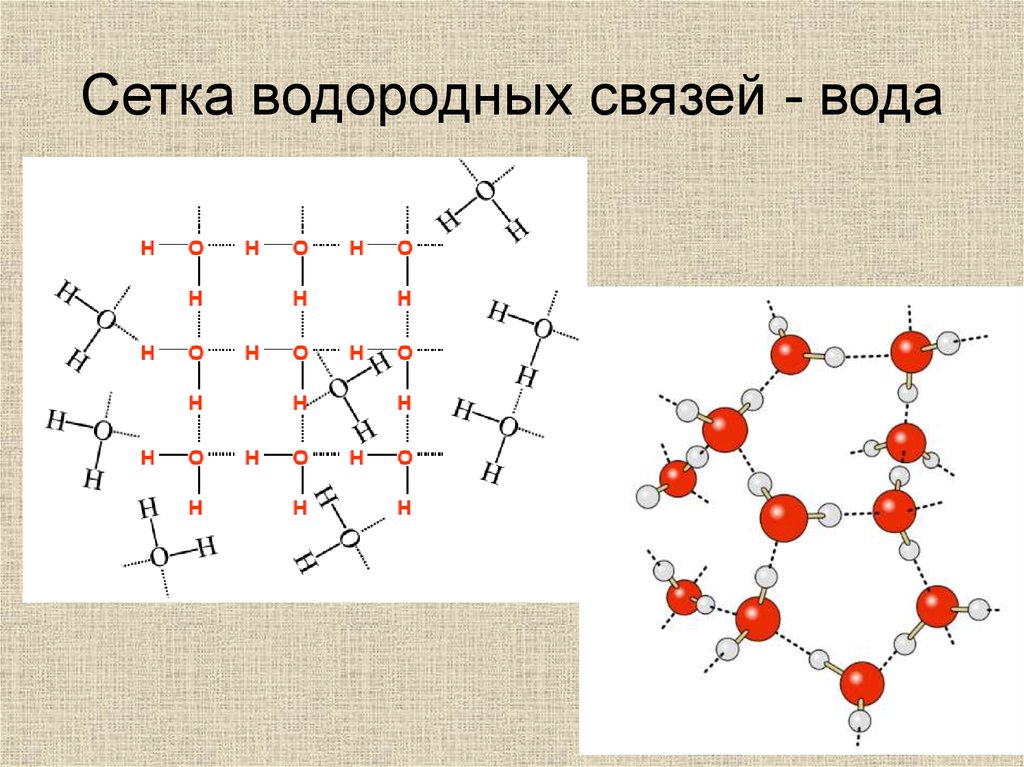 И 6 форма связи. Молекулярная биофизика. Водородная связь лед. ⦁ молекулярная биофизика, предмет и задачи. Трехмерная сеть водородных связей в воде это пример взаимодействия.
