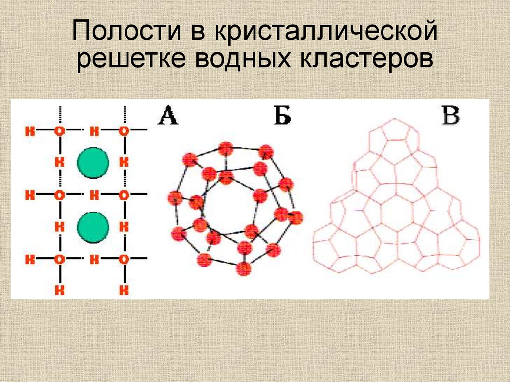 Пространственная организация