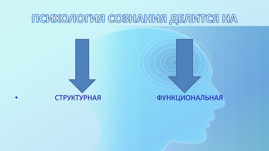 Психология сознания. Психология делится на. Сознание делится на. Психология сознания разделилась на.