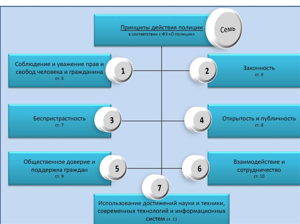 Структура принципы деятельности. Принципы действия полиции. Основные принципы деятельности полиции. Принципы деятельнотиплиции. Основные направления деятельности полиции схема.