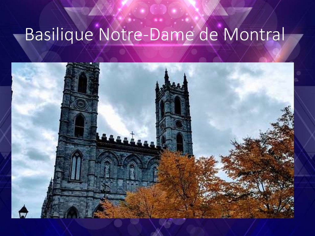 Basilique Notre-Dame de Montral