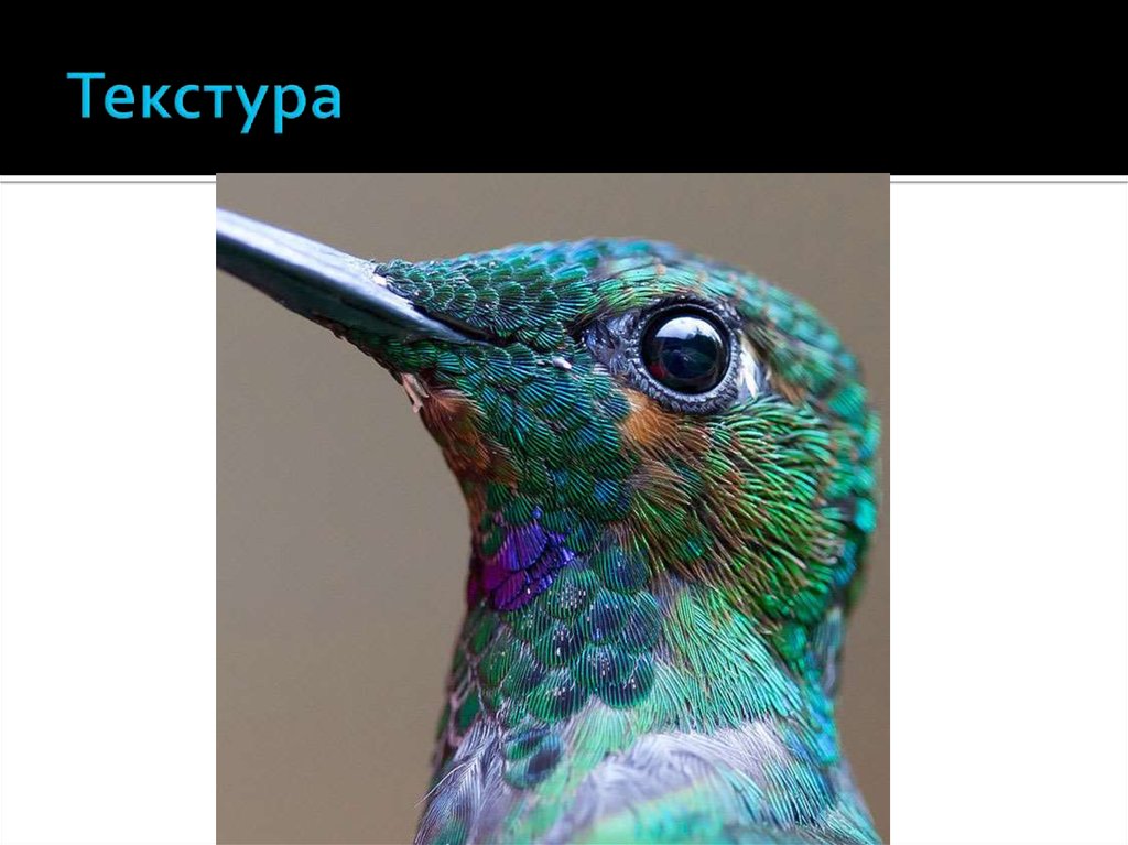 Текстура