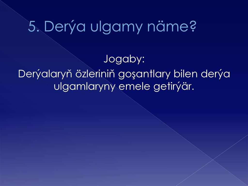 5. Derýa ulgamy näme?