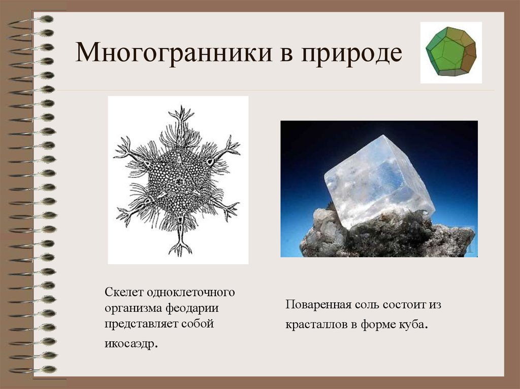 Правильные многогранники в жизни презентация