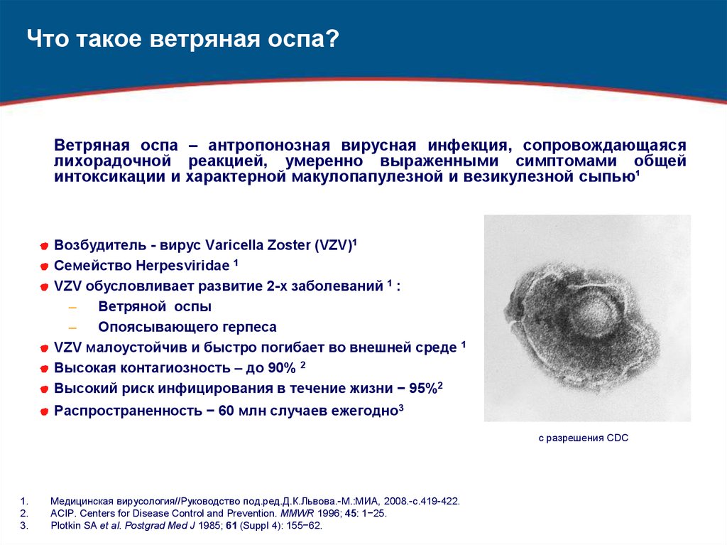 Вакцинопрофилактика ветряной оспы презентация