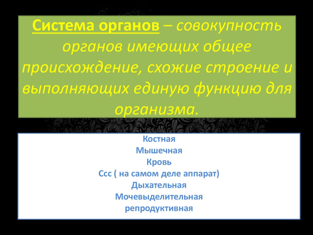 Органы имеющие сходное строение и происхождение