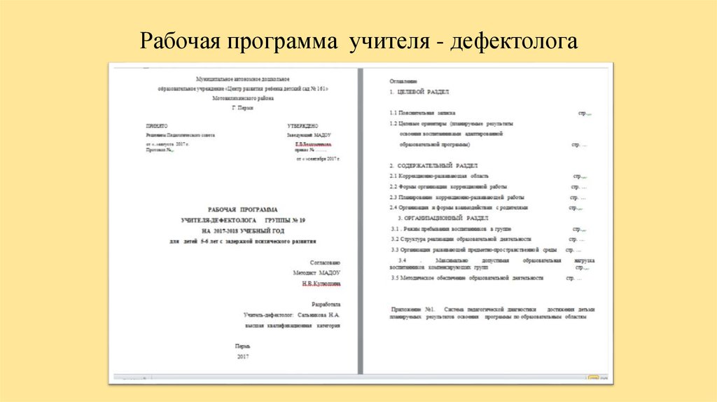 Рабочая программа дефектолога. Программа учителя дефектолога. Рабочий план дефектолога. Программа дефектолога в ДОУ.