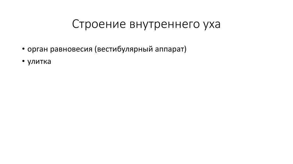 Строение внутреннего уха