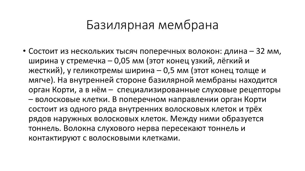 Базилярная мембрана