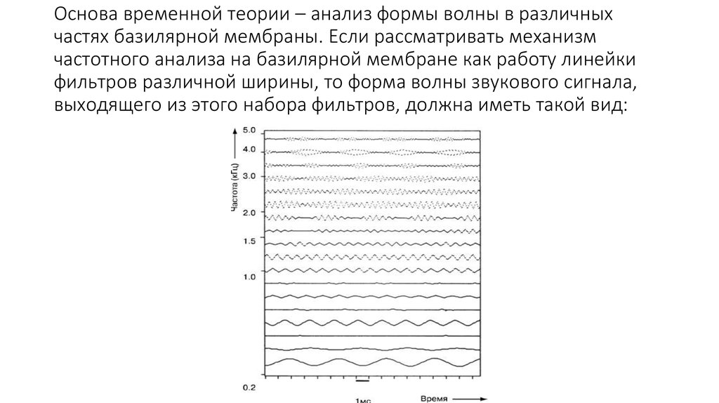 Основа временной теории – анализ формы волны в различных частях базилярной мембраны. Если рассматривать механизм частотного