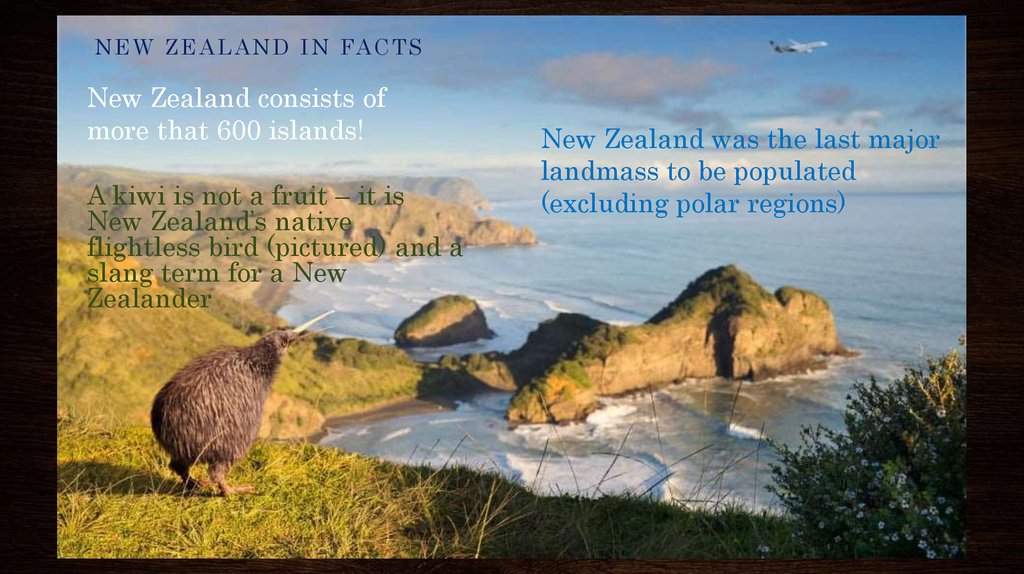 New zealand consists. Птицы новой Зеландии. Новая Зеландия животный мир. Новая Зеландия для детей. Новая Зеландия животные и растения.