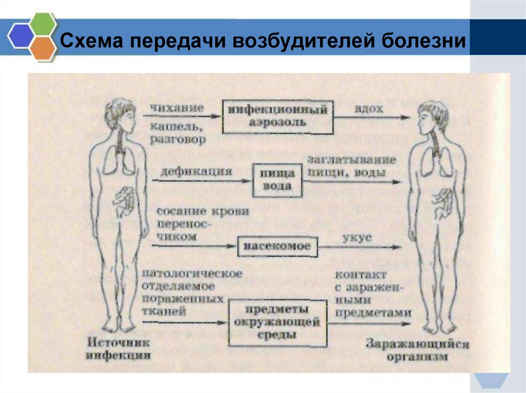 Схема написания истории болезни по инфекционным болезням