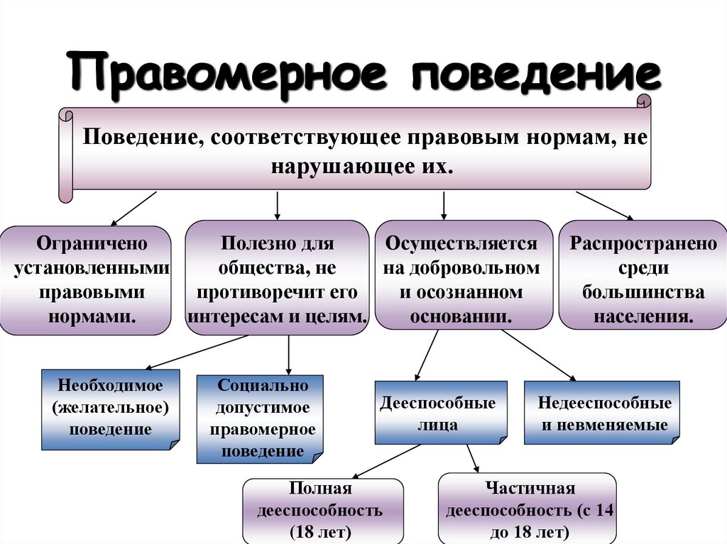 Правомерное поведение конспект