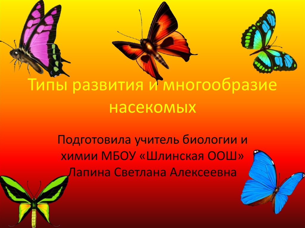 Типы развития насекомых