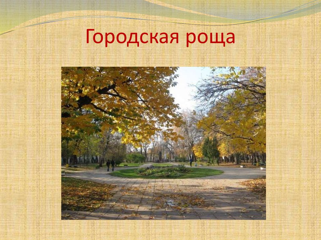 Городская роща