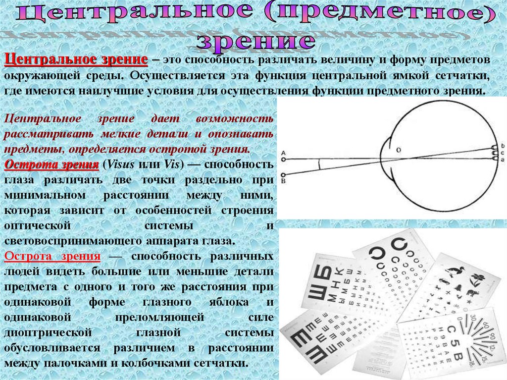 Область центрального зрения