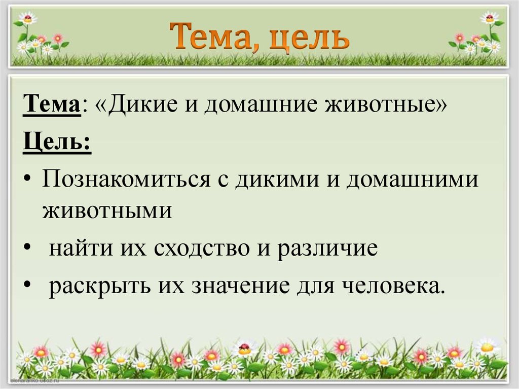 Домашние животные цель. Цели животные. Цели животных. Домашние животные цель задача вывод.