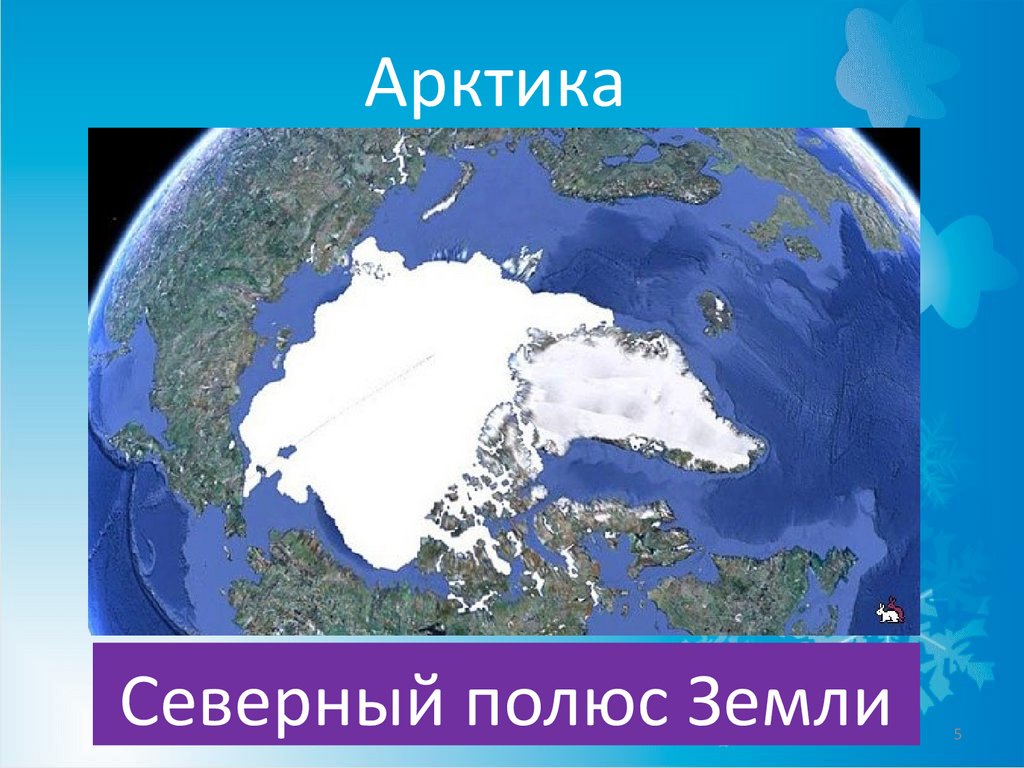 Арктика это область земного шара которая является. Арктика Северный полюс земли. Северный полюс материк. Северный полюс со спутника. Арктика на карте земли.