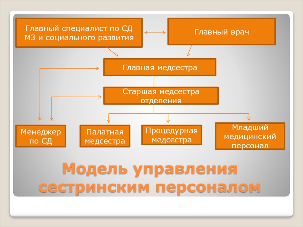 Организация сестринской службы