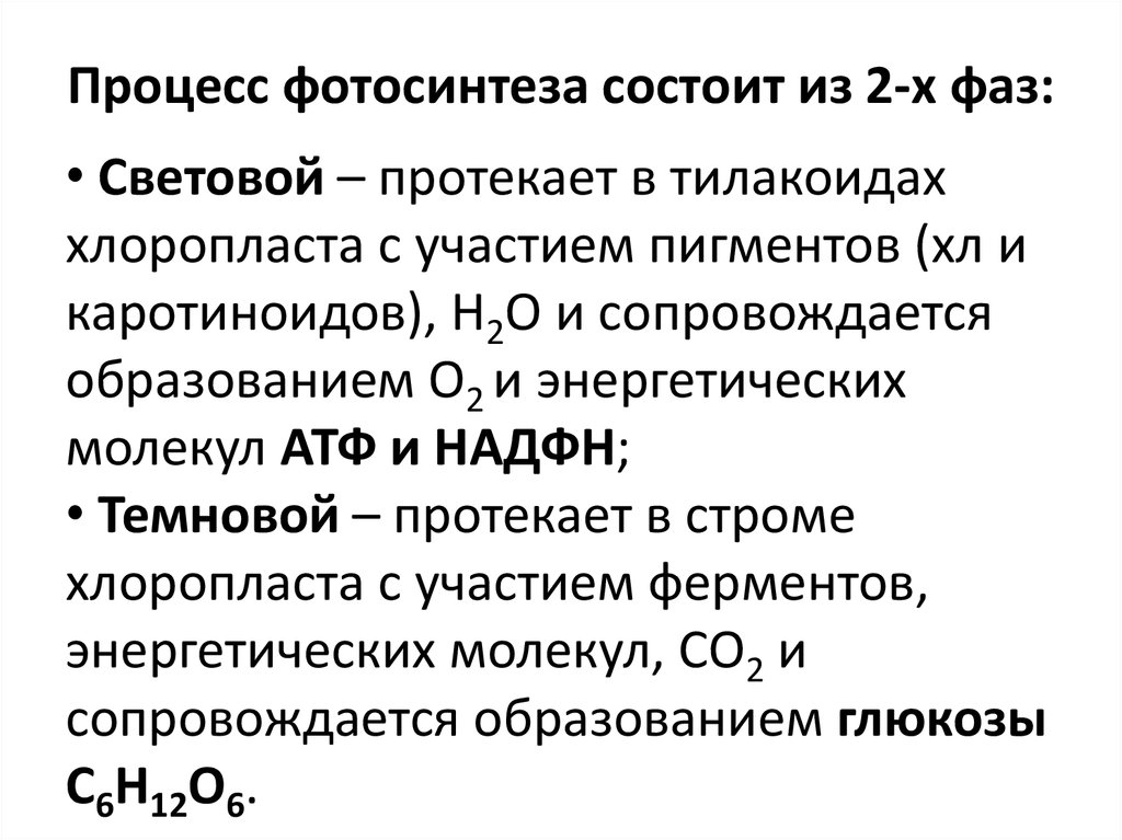 Установите последовательность процессов фотосинтеза запишите