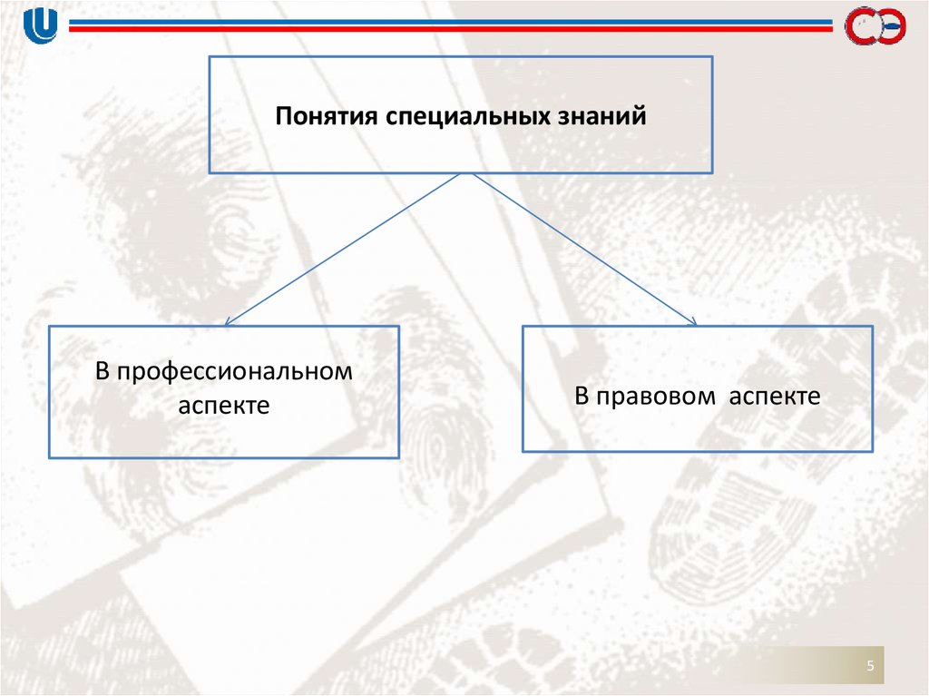 Концепция особо. Понятие специальных знаний. Понятие и формы специальных знаний. Формы специальных знаний в судопроизводстве.. Основные виды и формы использования специальных знаний.