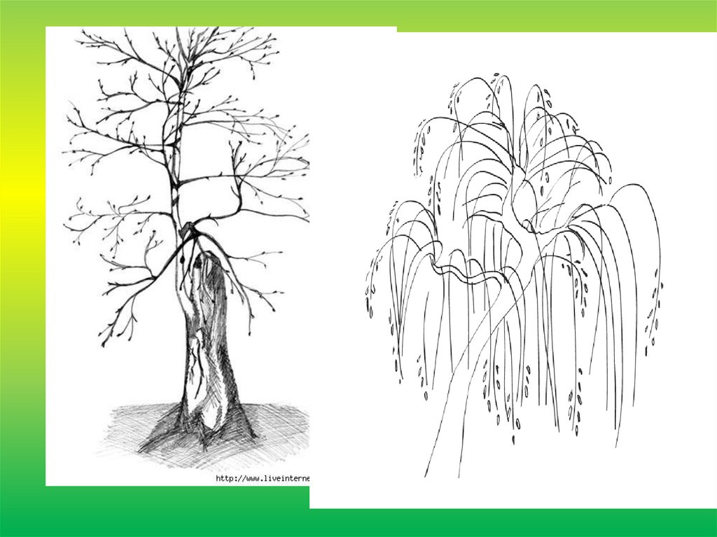 Рисунок характер линий 2 класс дерево. Пятно как средство выражения ритм пятен рисуем природу.