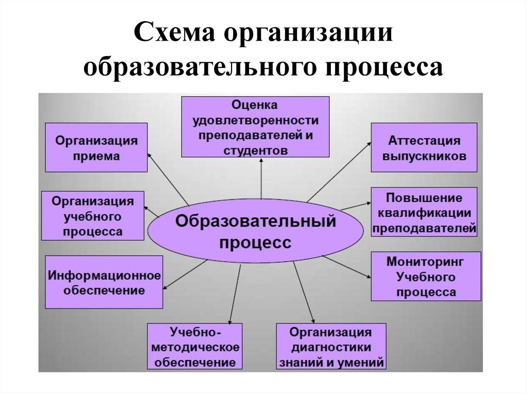 Схема организации образовательного процесса