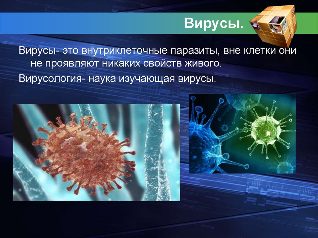 Представители вирусов 5 класс биология. Вирусы презентация. Вирусы вне клетки. Вирусология вирусы. Вирусы внутриклеточные паразиты.