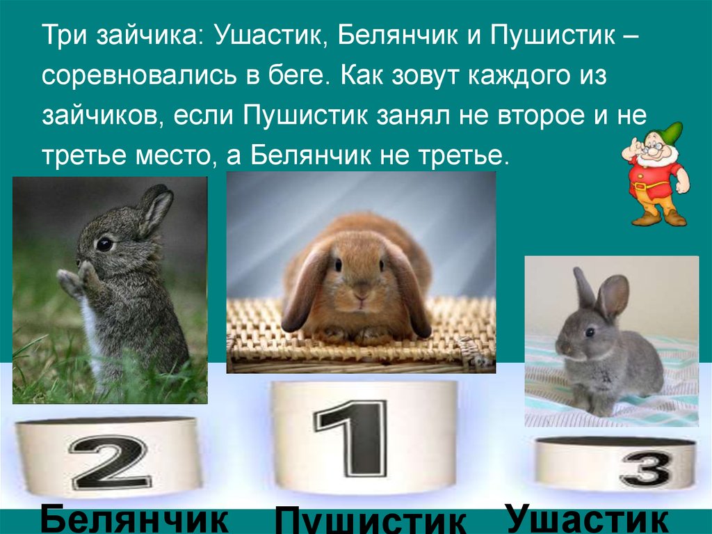 Как зовут зайчиху. Три зайчика:УШАСТИК,Белянчик и Пушистик-соревновались в беге. Как зовут зайчика. Как зайчика зовут как зайчика зовут. Зайчик УШАСТИК.