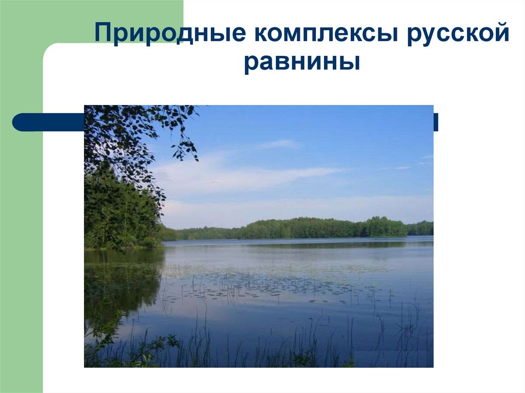 Особенности русской равнины 8 класс. Природные комплексы русской равнины. Природные комплексы русской равнины памятники природы. Природные комплексы русской равнины 8 класс.