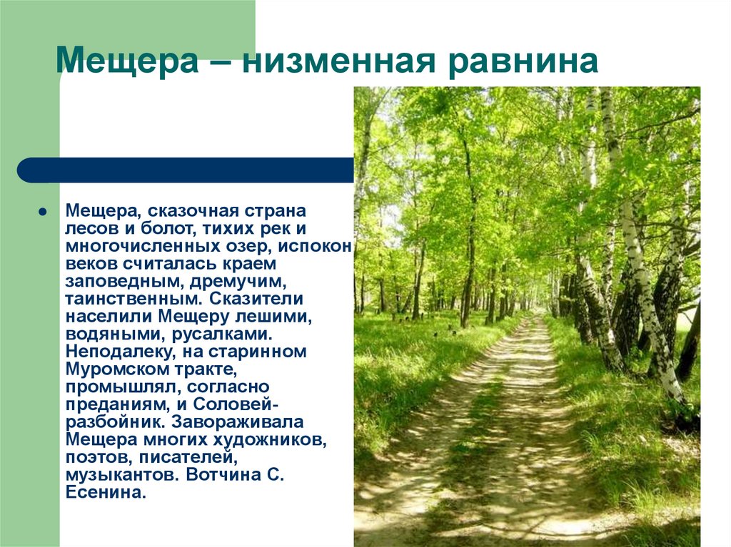 Природные памятники европейской равнины. Памятники природы русской равнины. Восточно-европейская равнина природа. Восточно-европейская памятники природы.