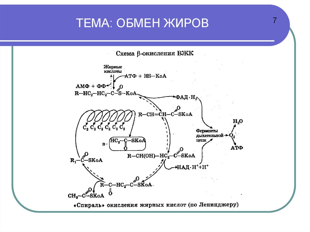 Окисление жиров. Окисление жиров схема. Окисление жиров в организме. Окисление жира в организме. Реакция окисления жира.