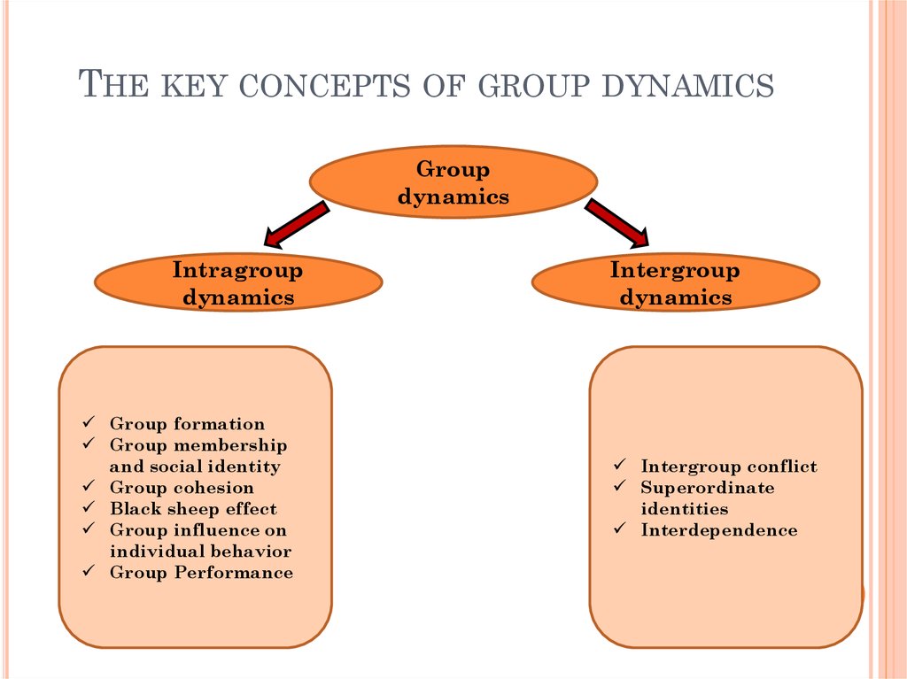 The key concepts of group dynamics
