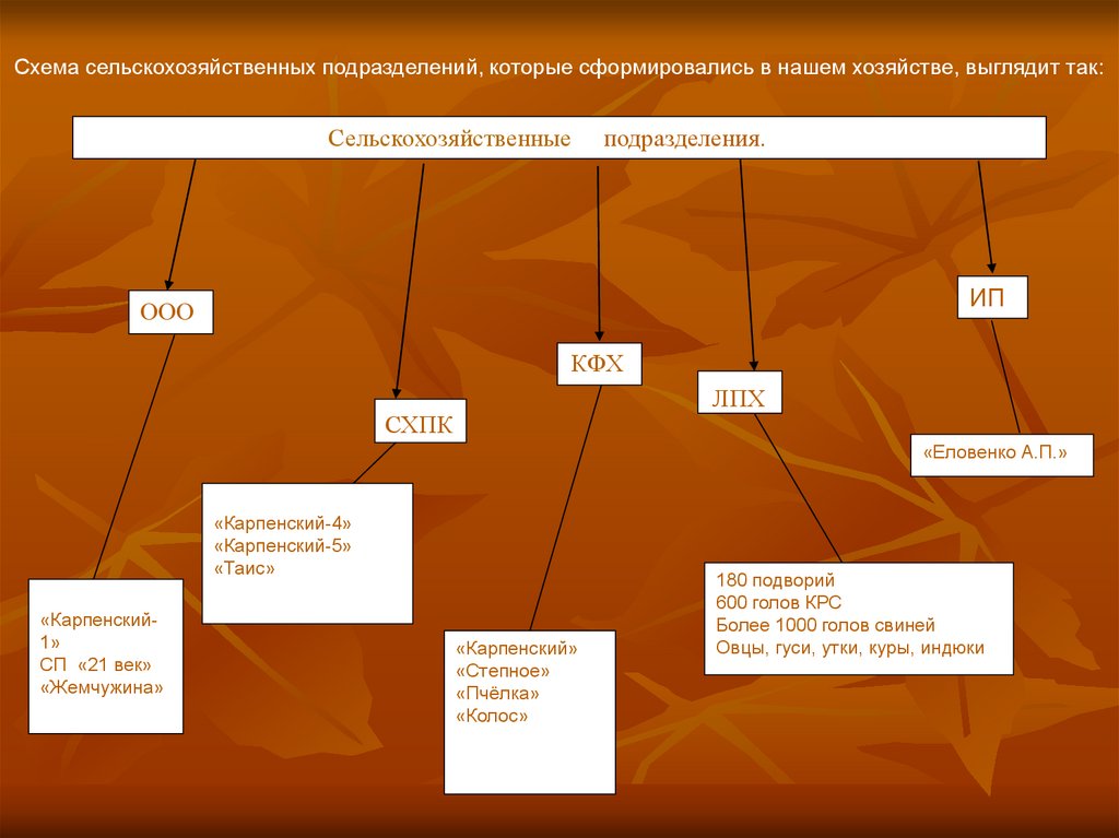 Представьте структуру сельского хозяйства. Сельскохозяйственные угодья схема. Виды сельскохозяйственных угодий схема. Социальная структура сельского хозяйства. Структура аграрного права.