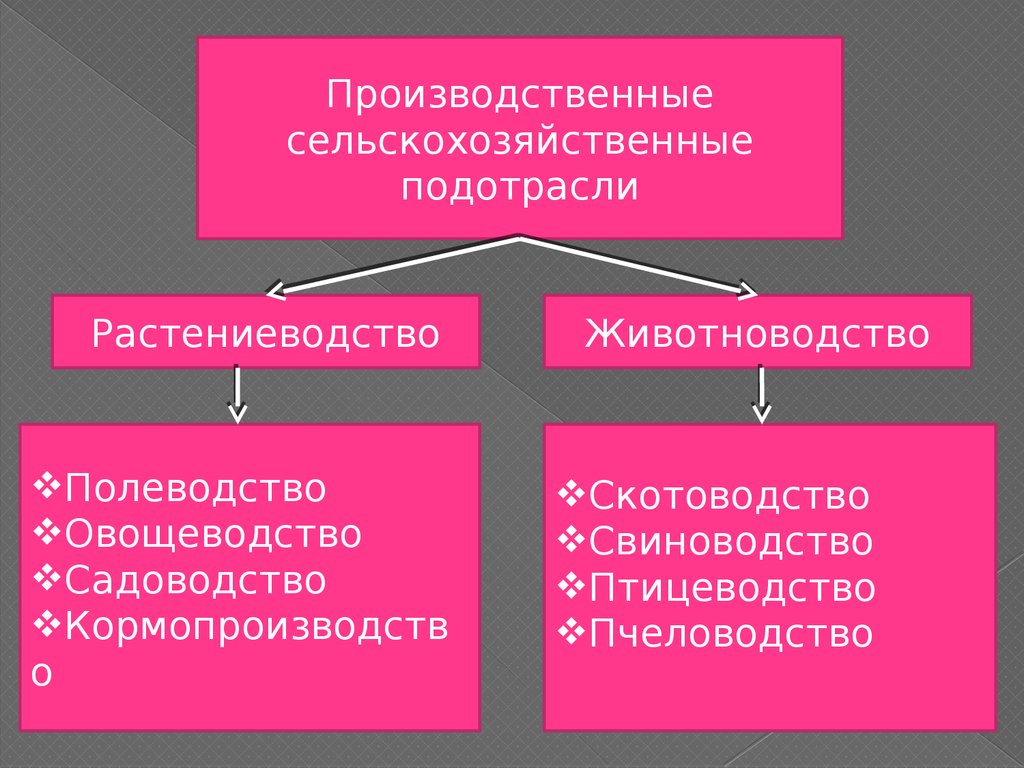 Подотрасли промышленности. Основные подотрасли растениеводства. Отрасли и подотрасли сельского хозяйства. Под отрасли культуры подотрасли. Таблица подотрасли растениеводства.