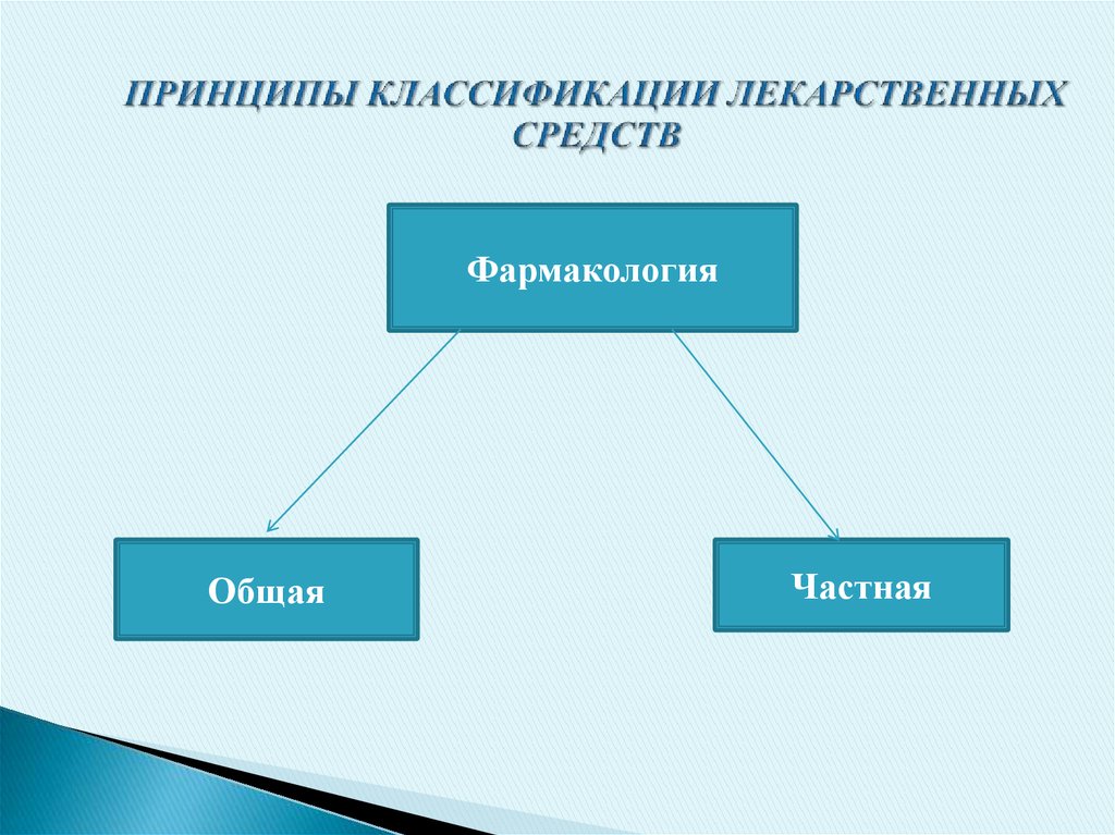 Основные принципы классификации