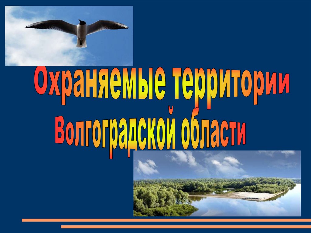 Охраняемые территории волгоградской области