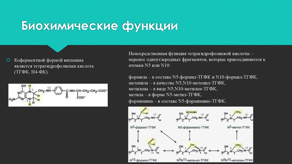 Функция кислота. Биохимические функции Селена. Биохимические функции тетрагидрофолиевой кислоты. Тетрагидрофолиевая кислота биохимия роль. Перенос одноуглеродных фрагментов.