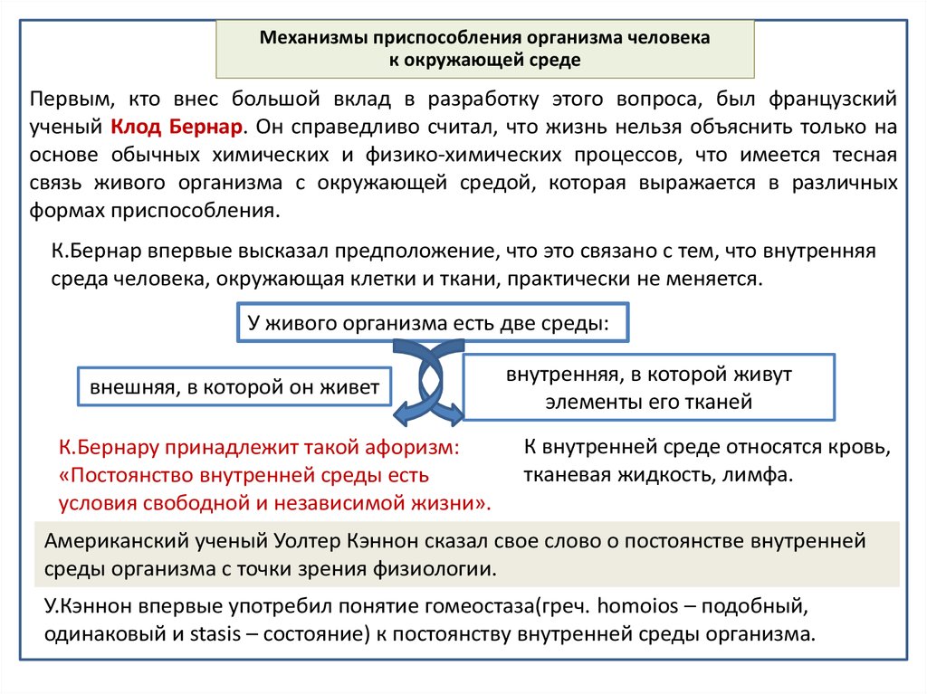 Практическая работа изучение экологических адаптаций человека