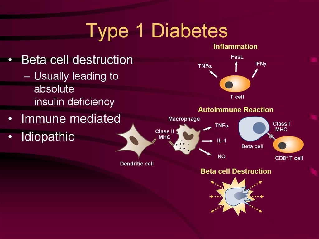 type 1 diabetes powerpoint slides