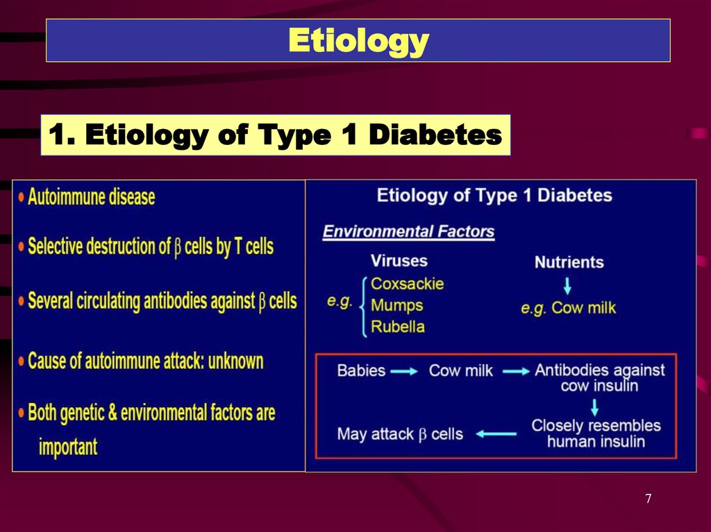 pathophysiology of type 1 diabetes mellitus ppt)