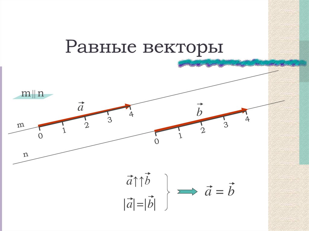 3 равных вектора. Равные векторы. Определение равных векторов. Равные векторы примеры. Изображение равных векторов.