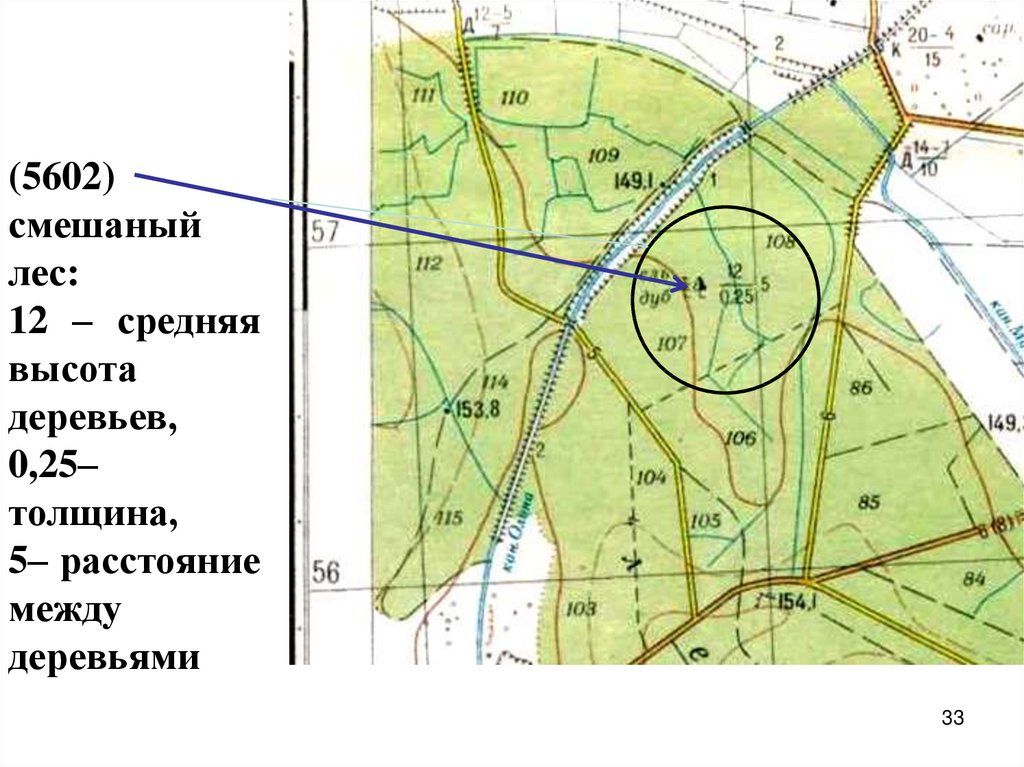 Карта высот расстояния. Карты высот дерево. Топографическая карта диаметр и высота дерева. Дерево высота толщина расстояние. Среднее расстояние между деревьями в лесу.