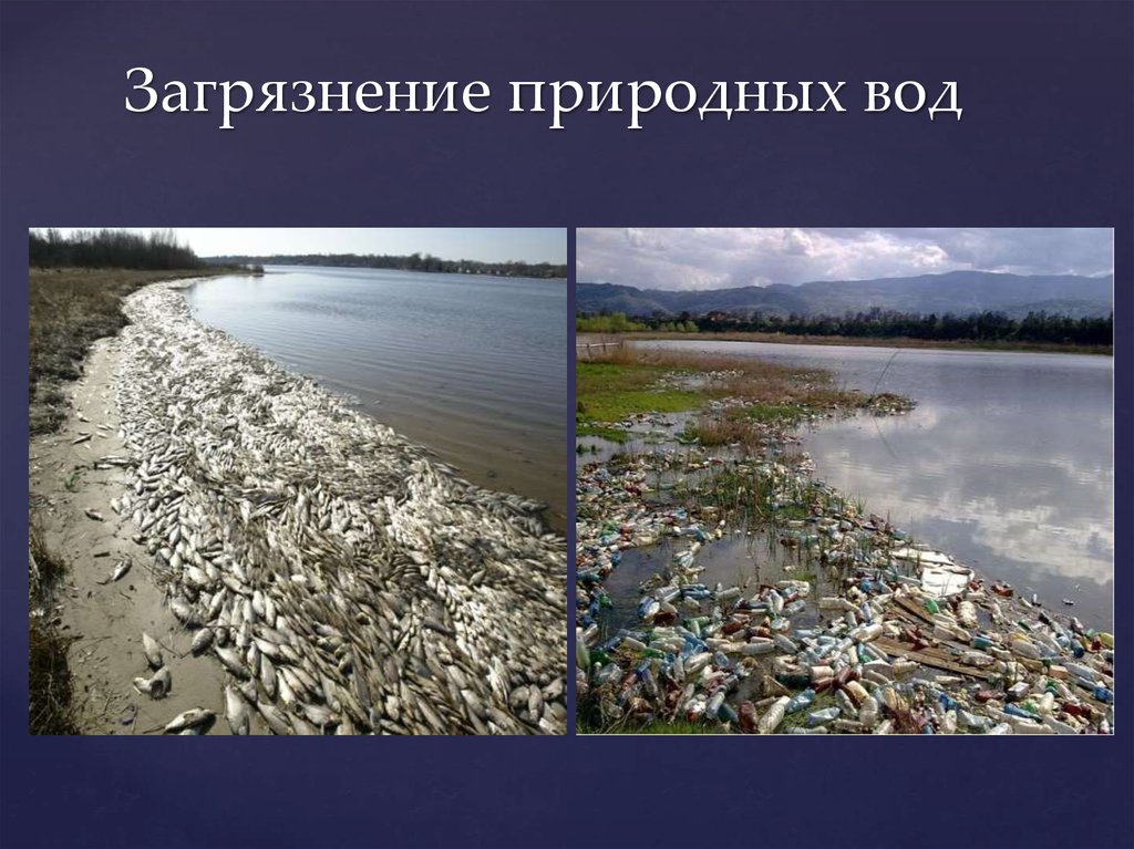 Загрязнение природных вод