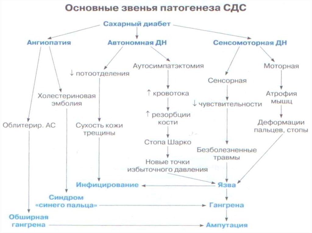 Типа патогенез. Блок схема сахарный диабет. Сахарный диабет 1 типа патогенез клинические рекомендации. Ключевое звено патогенеза сахарного диабета 1 типа. Основные звенья патогенеза сахарного диабета.