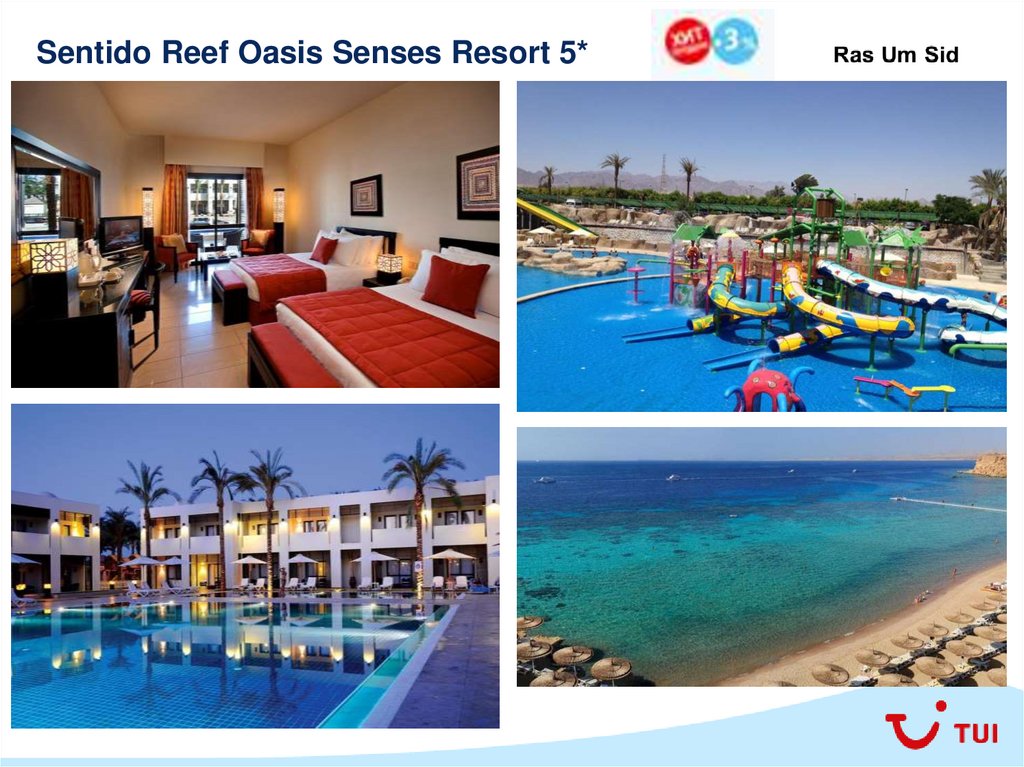 Reef oasis blue bay карта отеля